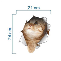 Cat 3