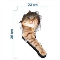 Cat 4