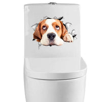 Dog 3